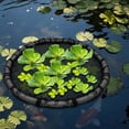 thumbnail image 2 of Floating Island Plant Protector Fish Barrier for Water Features Pond Garden, 2 of 5