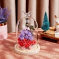thumbnail image 4 of Eternal Glass Dome Cloche 4.8×7.5" Clear Cloche Bell Jar Terrarium Bird Top Glass Display Dome Cover with Wood Base for Fairy Lights DIY Preserved Flower Gift Decorations Crafts, 4 of 5