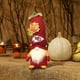 thumbnail image 5 of Plush Gnome FOCO Kansas City Chiefs NFL Harvest Material mixto, 5 of 5