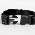 thumbnail image 2 of Pet Champion Medium Black Collar for Dogs, 2 of 8