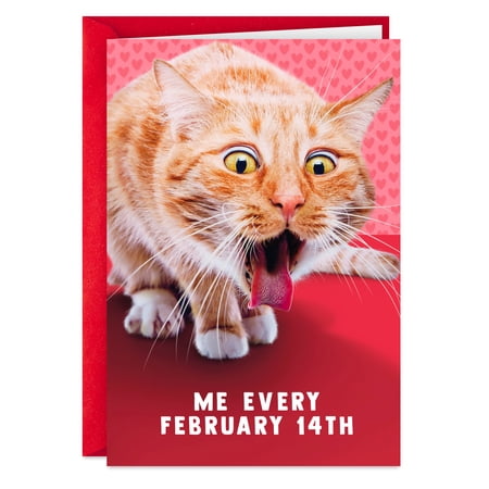 Hallmark Shoebox Funny Valentine's Day Card (You're Not Gross)