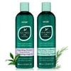 HASK TEA TREE OIL & ROSEMARY Shampoo and Conditioner Set Soothing and Restoring Scalp Care - Color safe, gluten-free, sulfate-free, paraben-free - 1 Shampoo and 1 Conditioner
