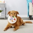 thumbnail image 3 of Dog Pet Toy Celebration Plush Birthday Stuffed Squeaky Chew Play Toy Cake Bone, 3 of 6
