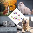 thumbnail image 3 of Cat Collar Bells Loud Dog Bell Training Charm Pendants For Pet Puppy Kitty Necklace Collar, 3 of 4