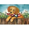 thumbnail image 2 of Korsgaden, Laurie 32x24 White Modern Wood Framed Museum Art Print Titled - Hello Puppy, 2 of 4