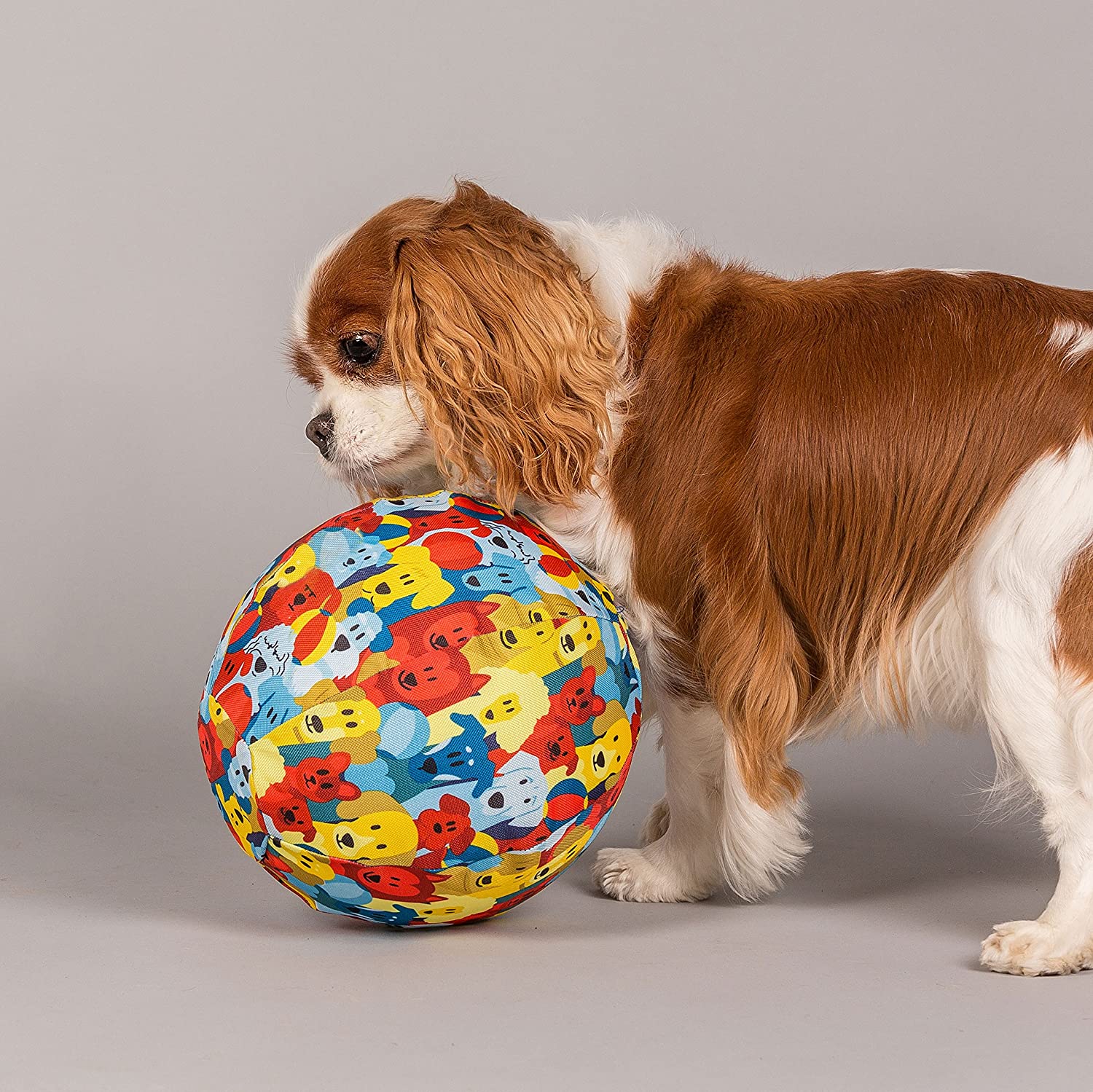 PetBloon Dog Balloon Cover Toy Colourful Dogs Print