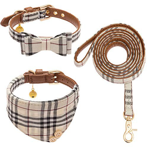 dog leash set