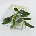 thumbnail image 6 of 10 Pack Artificial Olive Tree Branches with Fruit Realistic Faux GreenStems for Wedding Centerpieces Hotel Decor Floral Arrangements Home Decor Vase Fillers Indoor Olive Tree Decorations 19.6”, 6 of 6
