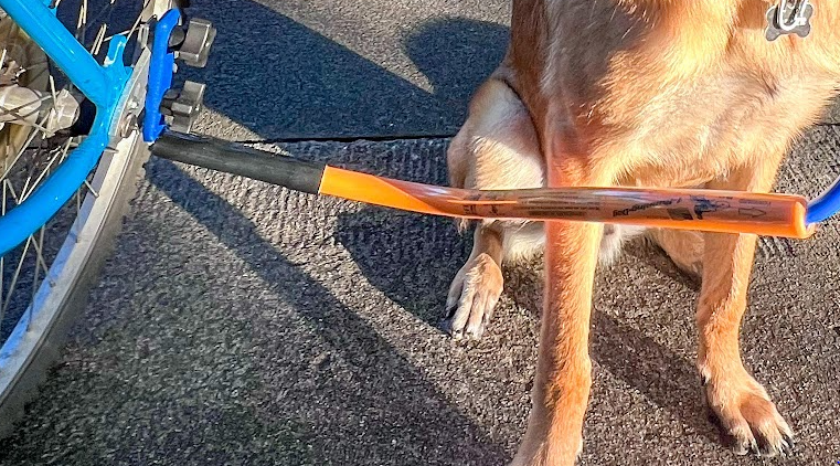 Bike Tow Leash Quick Mount Kit - Right Side Attachment - Hands Free Dog Leash - Fits Most Bikes, E-Bikes & Recumbents - Made in USA, Safe & Fun for You and Your Dog! (Yellow)