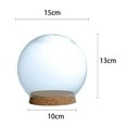 thumbnail image 4 of 3 piezas transparentes a prueba de polvo en forma de bola cúpulas de Cloche con Base de madera planta decoración de Macarena Cúpula transparente, 4 of 6