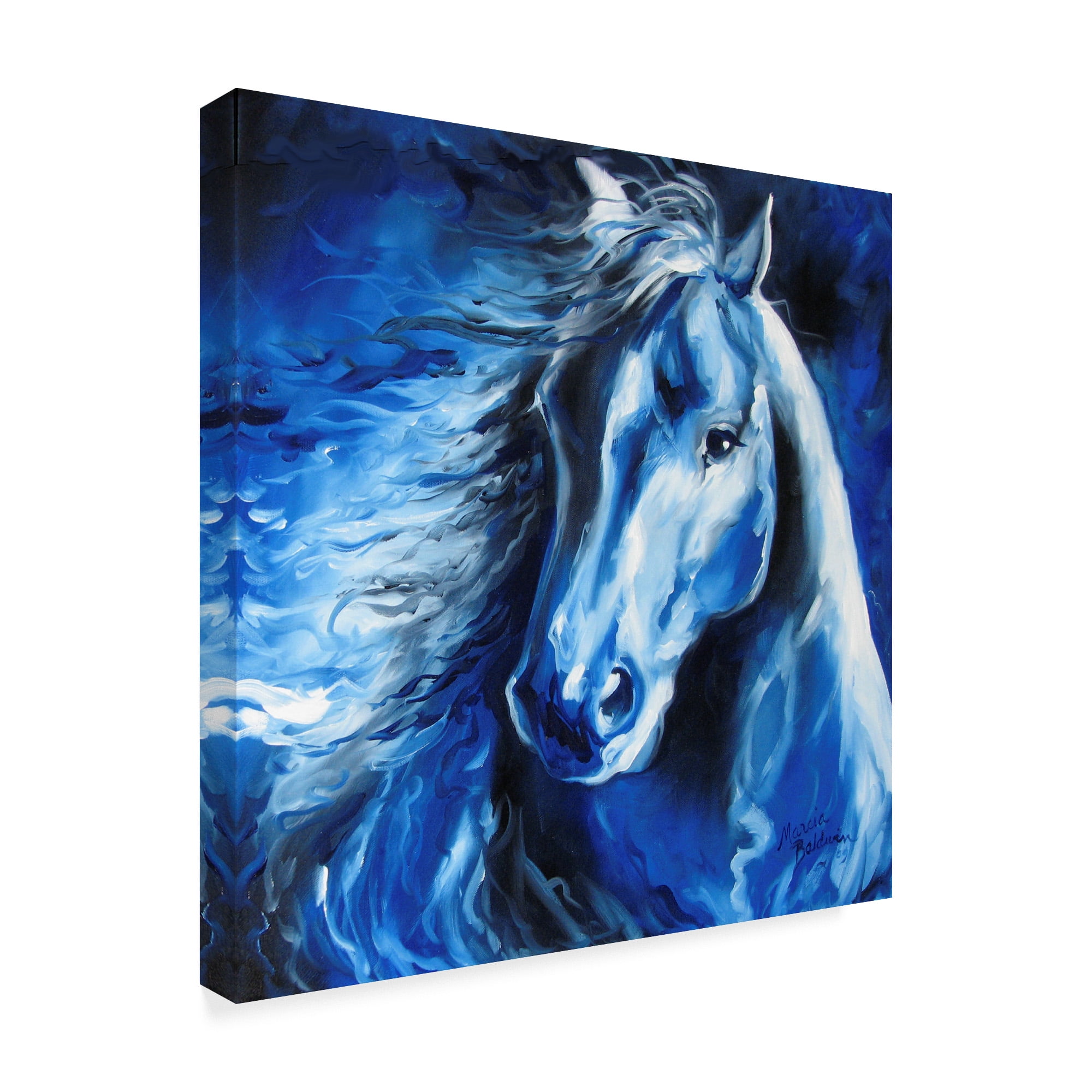Trademark Fine Art 'Blue Thunder' Canvas Art by Marcia Baldwin