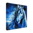thumbnail image 2 of Trademark Fine Art 'Blue Thunder' Canvas Art by Marcia Baldwin, 2 of 3