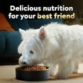 thumbnail image 5 of Cesar Small Breed Porterhouse Flavor And Spring Vegetables Dry Dog Food Adult, 5 Lb. Bag, 5 of 10