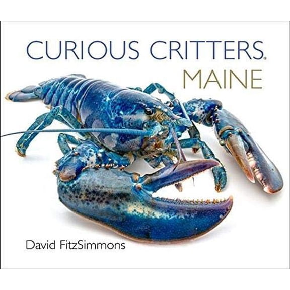 Pre-Owned Maine (Board book) 1936607409 9781936607402