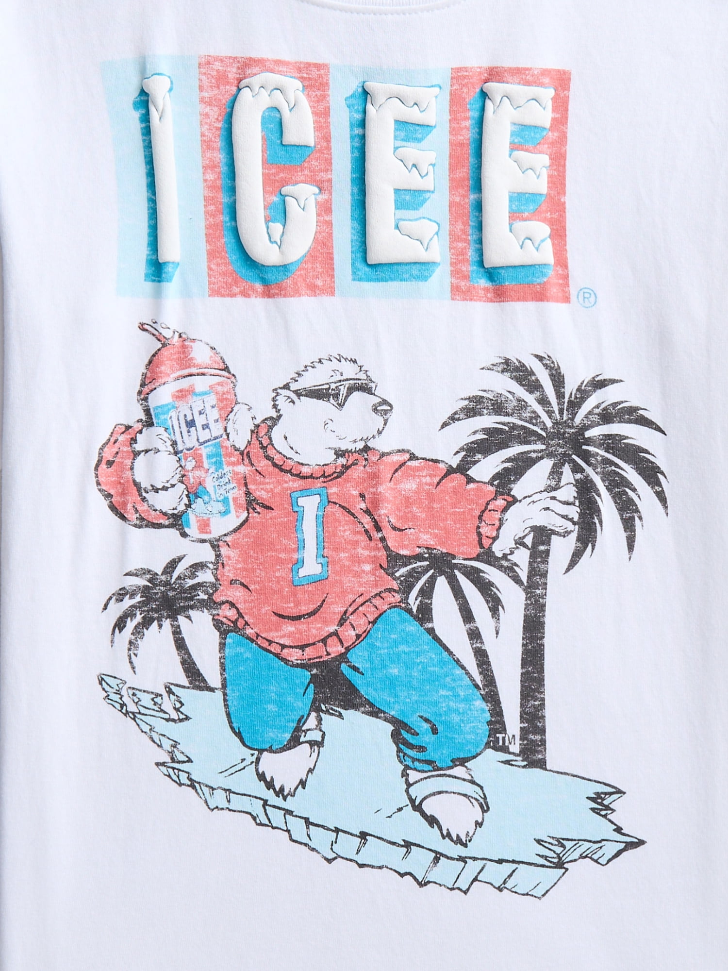 ICEE Boys Graphic Tee with Short Sleeves, Sizes 4-18