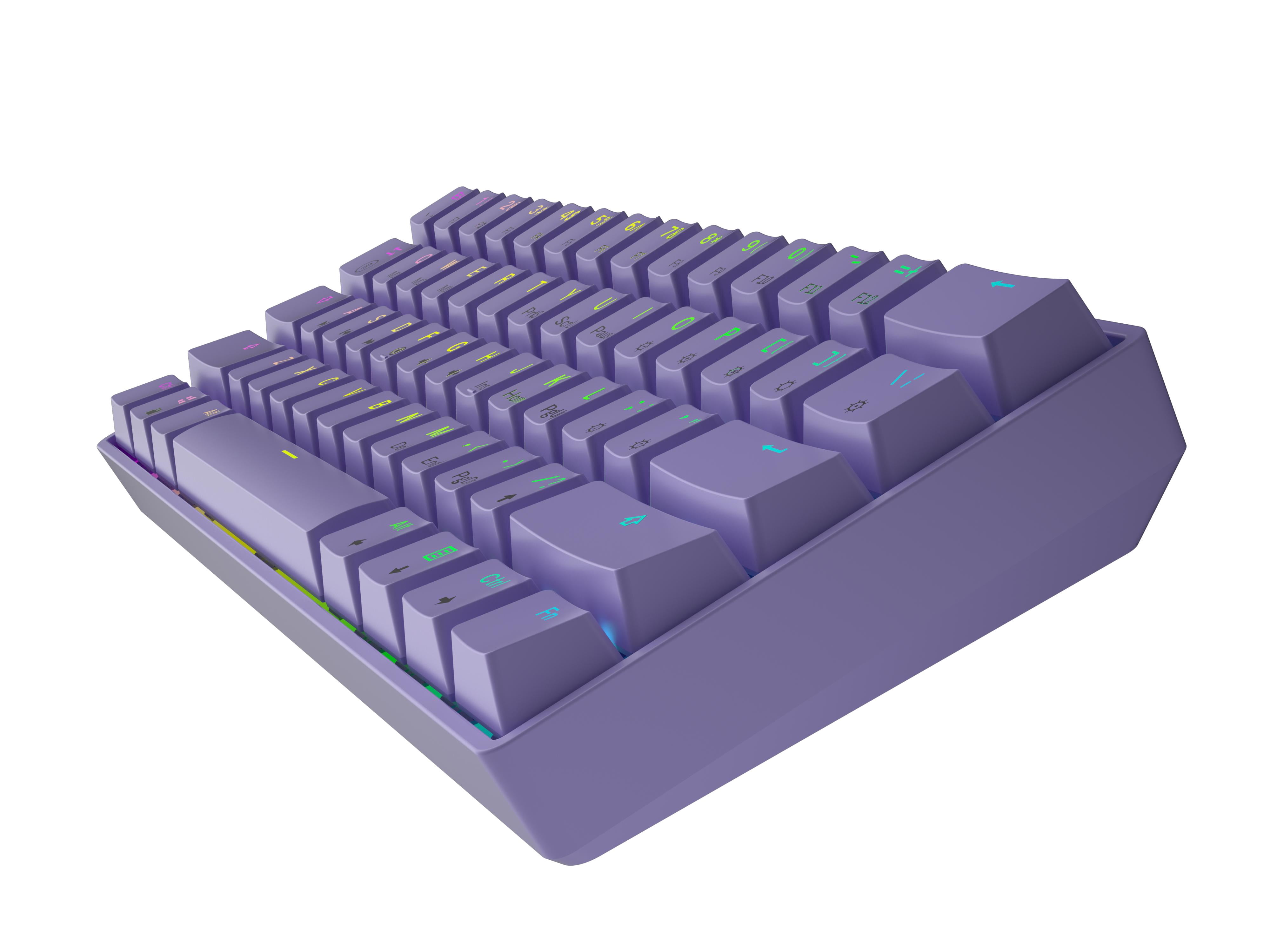 HK GAMING GK61 Mechanical Gaming Keyboard - 61 Keys Multi Color RGB Illuminated LED Backlit Wired Programmable for PC/Mac Gamer ( Gateron Optical Brown , Lavender )