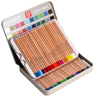 MISULOVE Professional Colour Charcoal Pencils Drawing Set, Skin Tone Colored  Pencils, Pastel Chalk for Sketching, Drawing, Shading, Coloring, Layering &  Blending for Beginners & Artists(12 Colors)