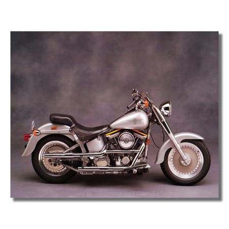 Silver Harley Davidson Fatboy Motorcycle Photo Wall Picture 8x10 Art (Liberty Fatboy Best Price)