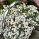 thumbnail image 5 of Bee Garden Stakes Decor Metal Yard Art Ornaments Front Yard Art Stick Floral Picks Spring Summer Resin Bumble Bees Garden Stakes Outdoor Lawn Pathway, 5 of 5