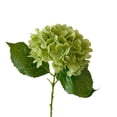 thumbnail image 2 of 20in Dark Green Hydrangea Artificial Flowers Latex Real Touch Fake Hydrangeas Bouquet Large Faux Flower for Home Table Centerpieces Wedding Garden Party Halloween Decoration, 2 of 9