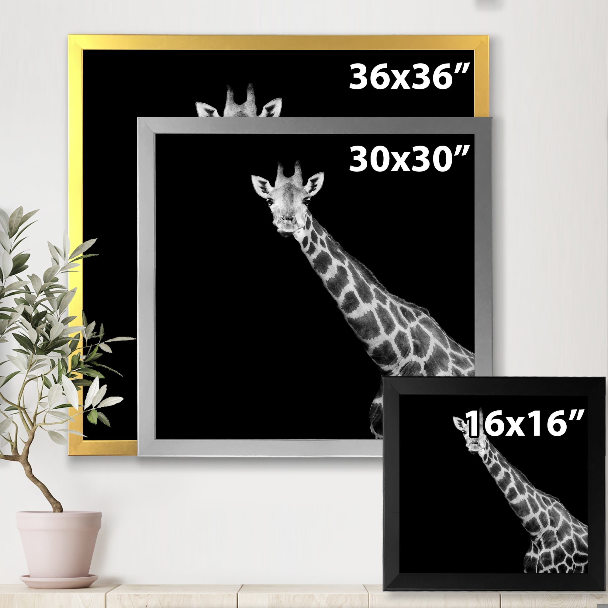 Designart 'Close Up Portrait Of A Giraffe On Black I' Farmhouse Framed Art Print