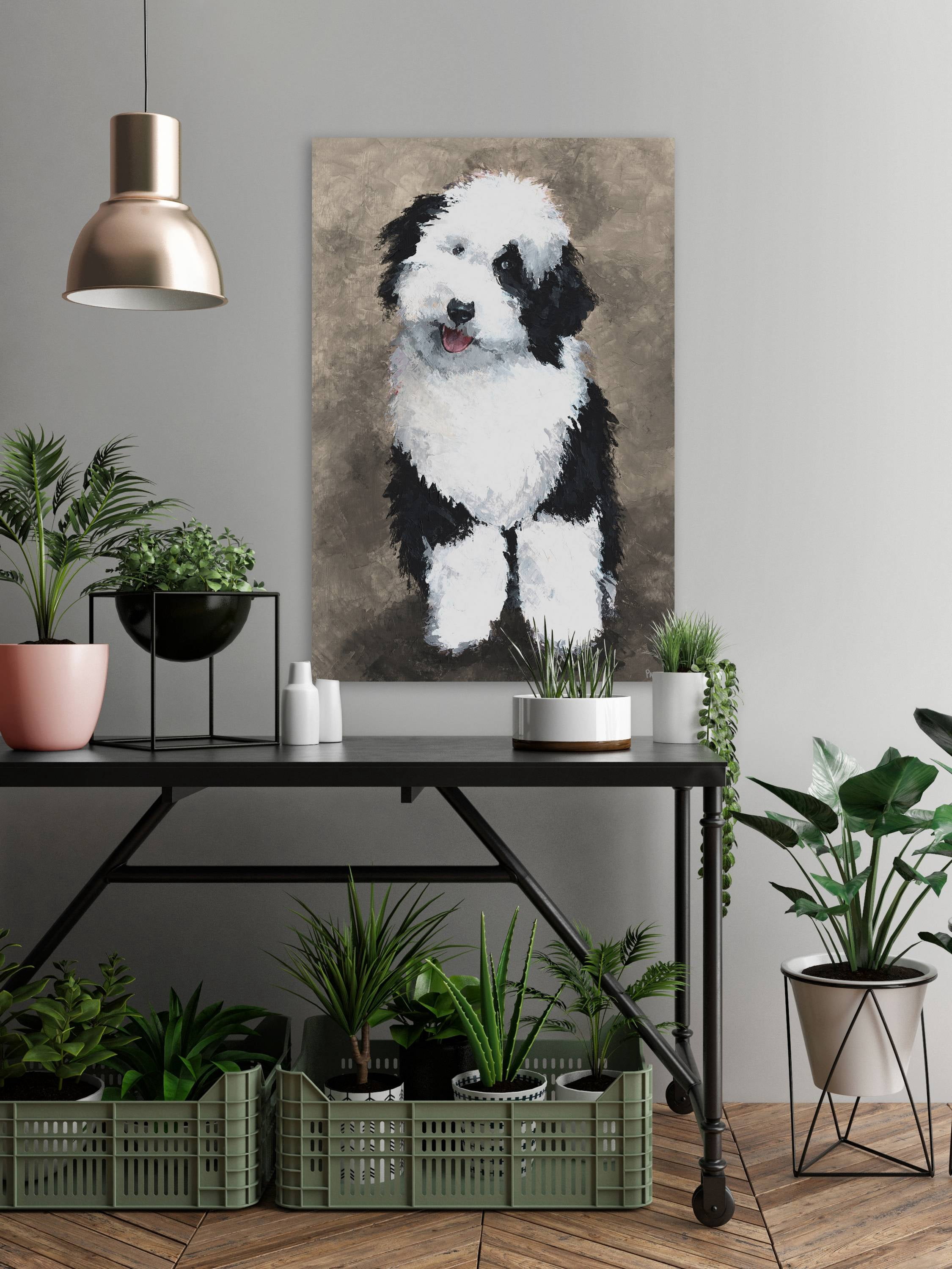 Parvez Taj Cute Furry Dog Canvas Wall Art