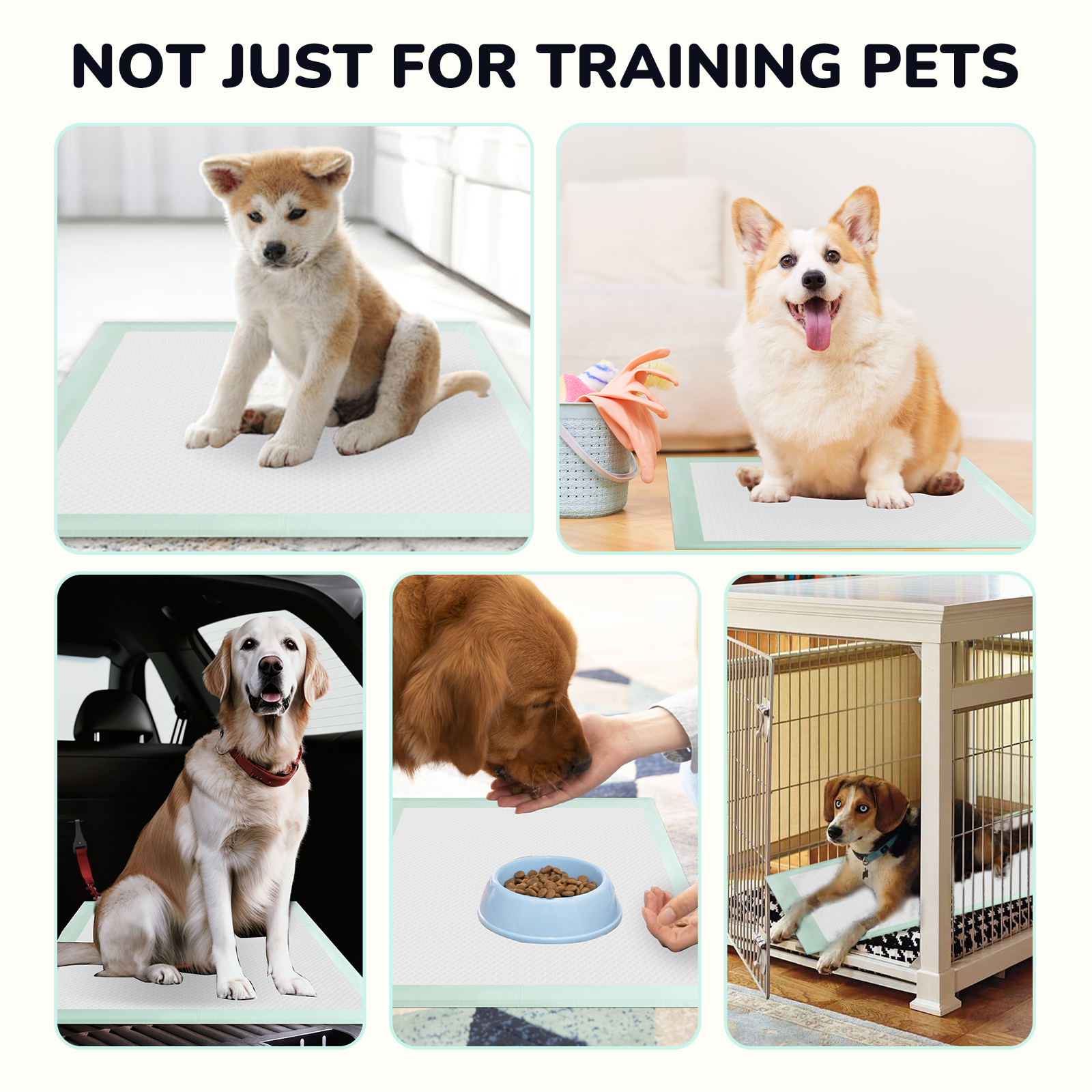 Cowb Manm Puppy Pads XL 24"x24", 80 Count photo 6