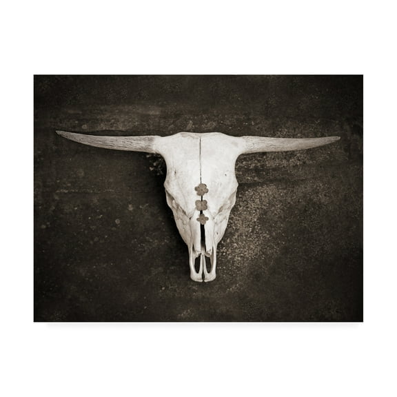 Trademark Fine Art 'Sepia Cattle Skull' Canvas Art by Brooke T. Ryan