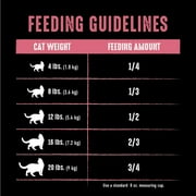 Crave Grain Free Indoor Natural Dry Cat Food With High Protein From Chicken & Salmon, 10 Lb. Bag