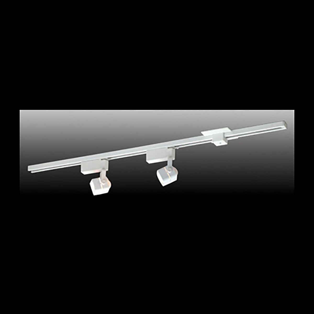 Track Lighting White 4 Foot Track w/2 Light Set | Renovator's Supply