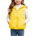 thumbnail image 2 of BLVB Boys Girls Hooded Puffer Vest Winter Lightweight Sleeveless Cute Ears Zipper up Jacket Waistcoat for Kids(Yellow,14-15 Years), 2 of 9