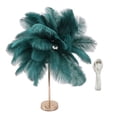 thumbnail image 2 of Ostrich Feather Night Light, Rechargeable Modern LED Decorative  Light with Feathers Dimmable Bedside Table Lamp Touch Switch Ostrich Feather Lamp for Bedroom Nightstand, 2 of 8