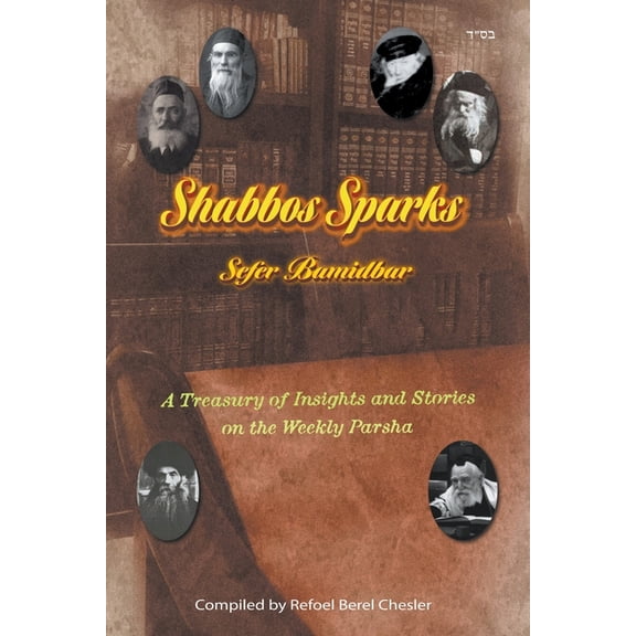 Shabbos Sparks Shabbos Sparks, Book 4, (Paperback)