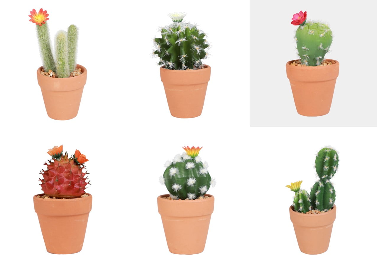 Mainstays 5.88" Assorted Artificial Potted Cactus Succulents