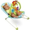 Fisher-Price Precious Planet Blue Sky Happy Giraffe Bouncer