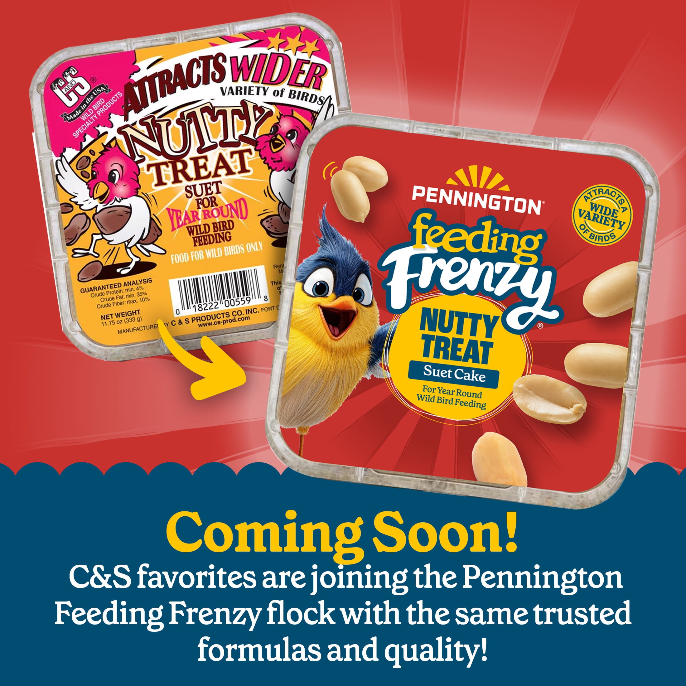 (4 pack) C&S Nutty Suet Treat, for Wild Birds, 11.75 Ounces, 1 Pack, Fresh