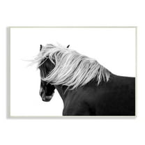 Stupell Industries Equestrian Photography Modern Horse Contrast Black White, 15 x 10,Design by Samantha Carter