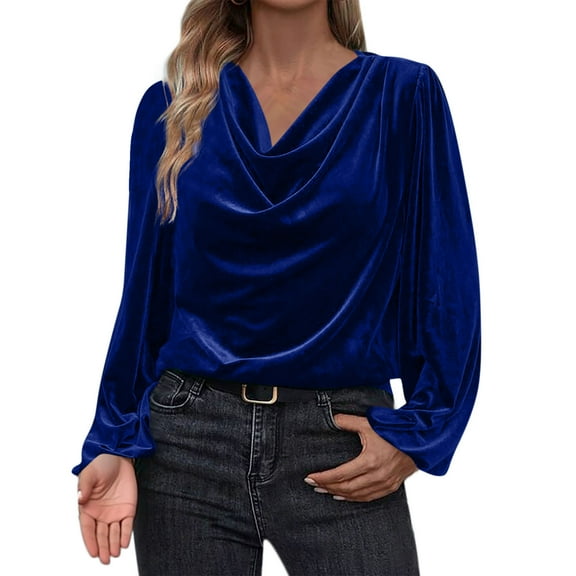 Women's Elegant Long Sleeve Tops Round Neck Vintage Velvet Blouse Velour Pullover Casual Solid Color Shirts Tees