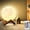 Moon, variant on VOLIVO 4Inch Galaxy Moonlight Night Light for Adults Kids, 16Colors/3D Printing Moon Lamp Night Lamp for Kids Bedroom Decor