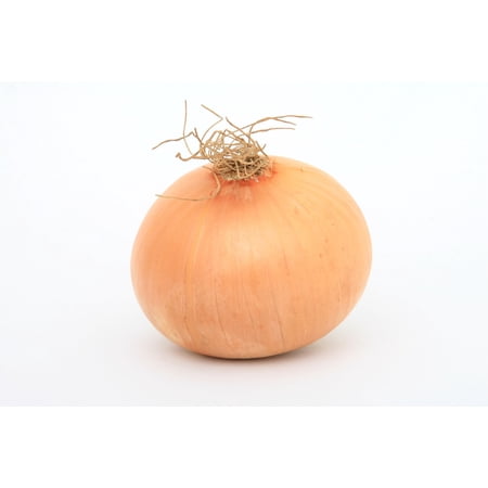Sweet Yellow Spanish Onion Seeds/ Annual/ Full Sun/ 7K Seeds 1 oz/ Zellajake Farm and Garden - B175