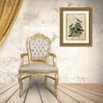 thumbnail image 3 of Vision Studio 25x32 Gold Ornate Wood Framed with Double Matting Museum Art Print Titled - Antiquarian Birds IV, 3 of 4
