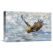 Global Gallery C. Mei 'Coming' Canvas Wall Art