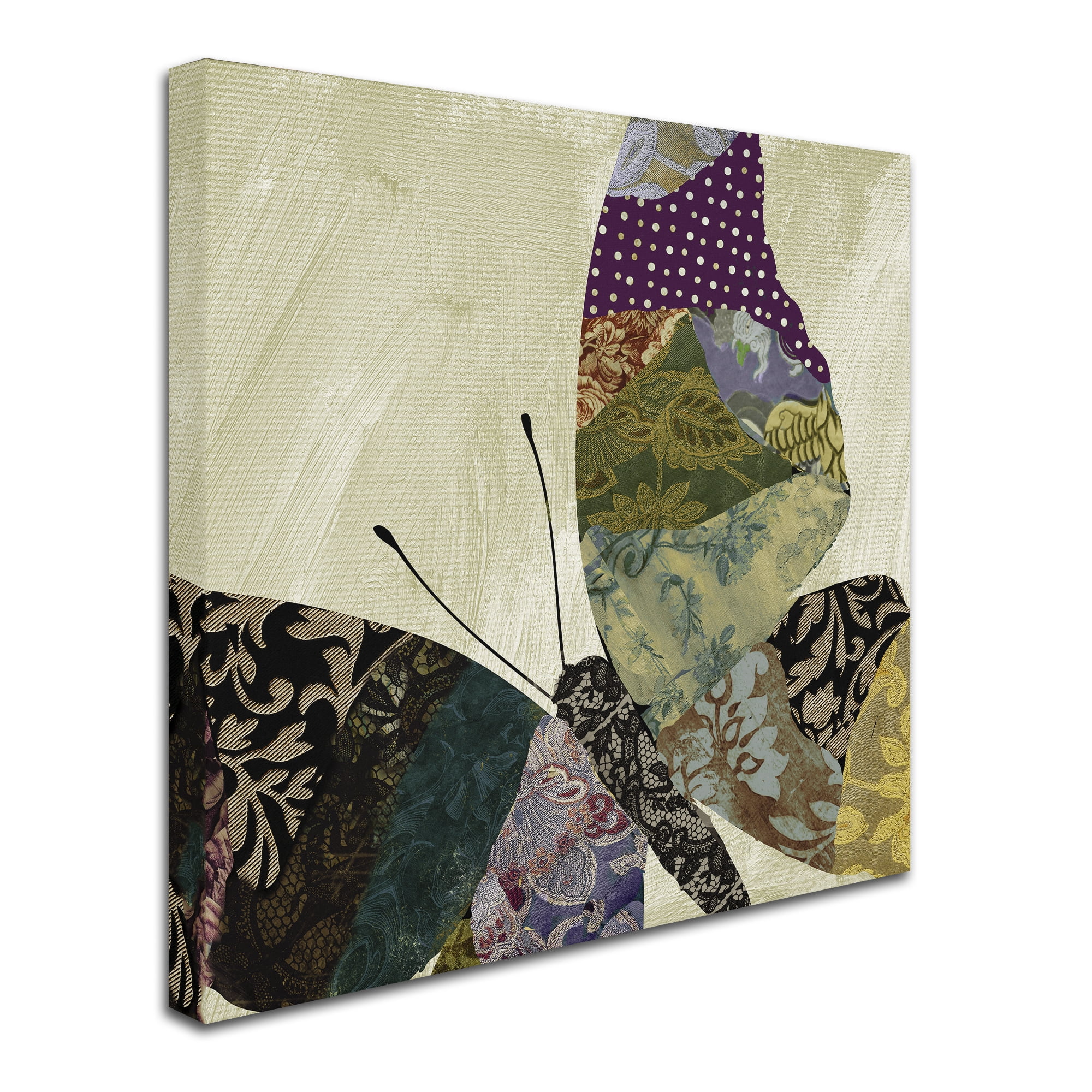 Trademark Fine Art "Butterfly Brocade I" Canvas Art by Color Bakery