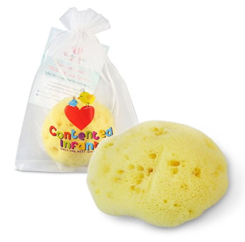 natural sea sponge baby