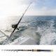 thumbnail image 3 of Caña De Pescar Telescópica Caña De Pescar Resistente A La Fricción Para Pesca En Barco Oceánico Pesca En Roca Oceánica Fyydes fishing stick, 3 of 8