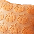 thumbnail image 2 of Fundas Almohada Calabaza Funda Felpa Suave Halloween (caqui), 2 of 4