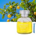 thumbnail image 3 of Car Vent Fragrance Diffuser Cute Car Accessory Long Lasting Scent Air Diffuser 65mL Car Aromatherapy Perfume Adornment, 3 of 3