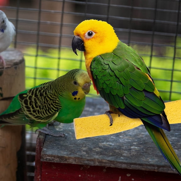 FOMIYES pet bird perch Yellow Medium Resin Cage-Mount Grinding Stand
