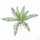 thumbnail image 1 of Manojo de hojas de Cycas artificiales,Hojas de hierba de arbusto de helechos artificiales,Hoja de palma Cycas verde artificial,Rama de palmera Cycas falsa,Planta de helecho falso verde, 1 of 9