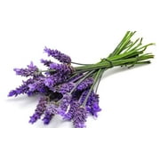 Aloe Cadabra Natural Personal Lube Edible Vegan French Lavender 2.5 oz 3 Pack